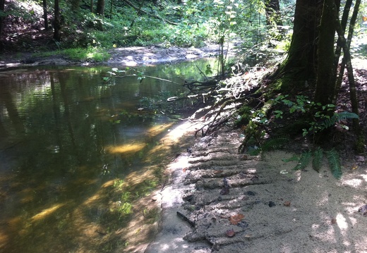 Sheltowee Trace, Red River Gorge